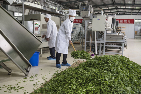 梅州制茶廠消防改造工程項(xiàng)目 梅州制茶廠消防改造工程項(xiàng)目