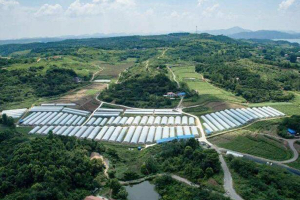 云浮現(xiàn)代農(nóng)業(yè)產(chǎn)業(yè)園消防改造工程項目 云浮現(xiàn)代農(nóng)業(yè)產(chǎn)業(yè)園消防改造工程項目